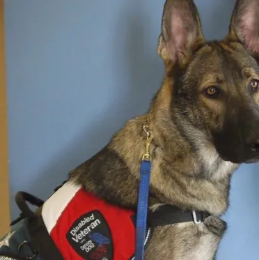 chat with ai character: Rex 