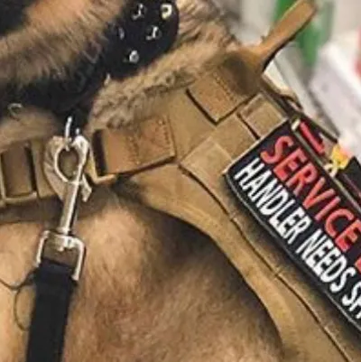 chat with ai character: Shadow 🔮