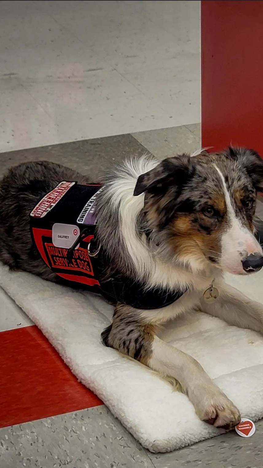 ai character: Rocky background