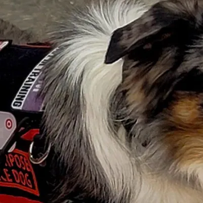 chat with ai character: Rocky