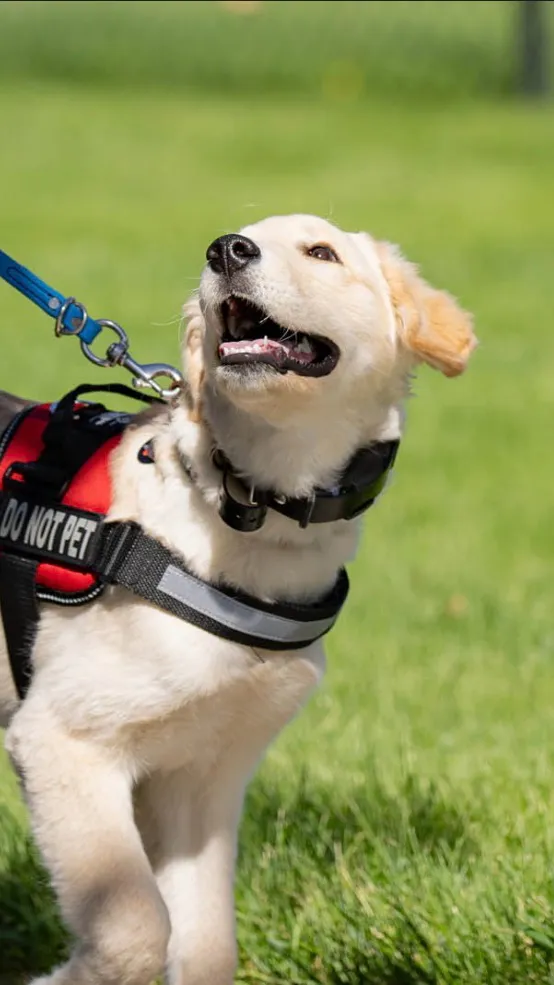 ai character: Jasper  background