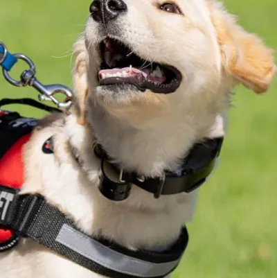 chat with ai character: Jasper 