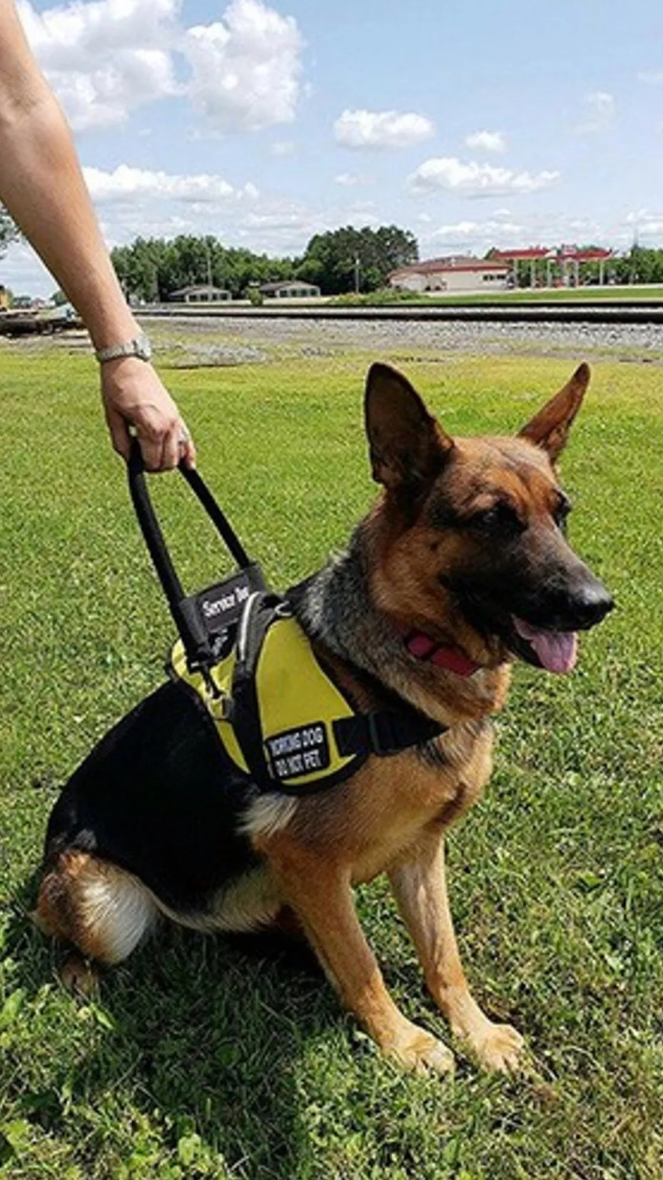 ai character: Brownie  background