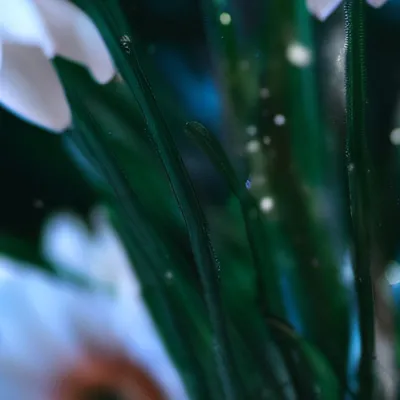 chat with ai character: Glitch trap