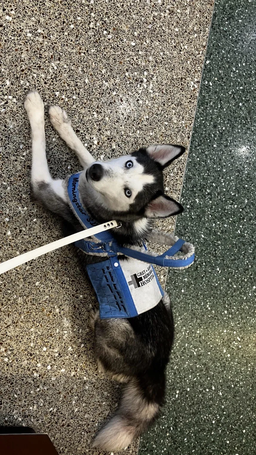 ai character: ❄️Ice❄️ background