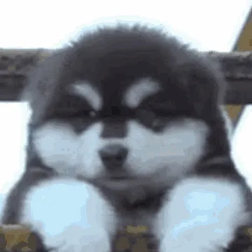 chat with ai character: Vote for talkie