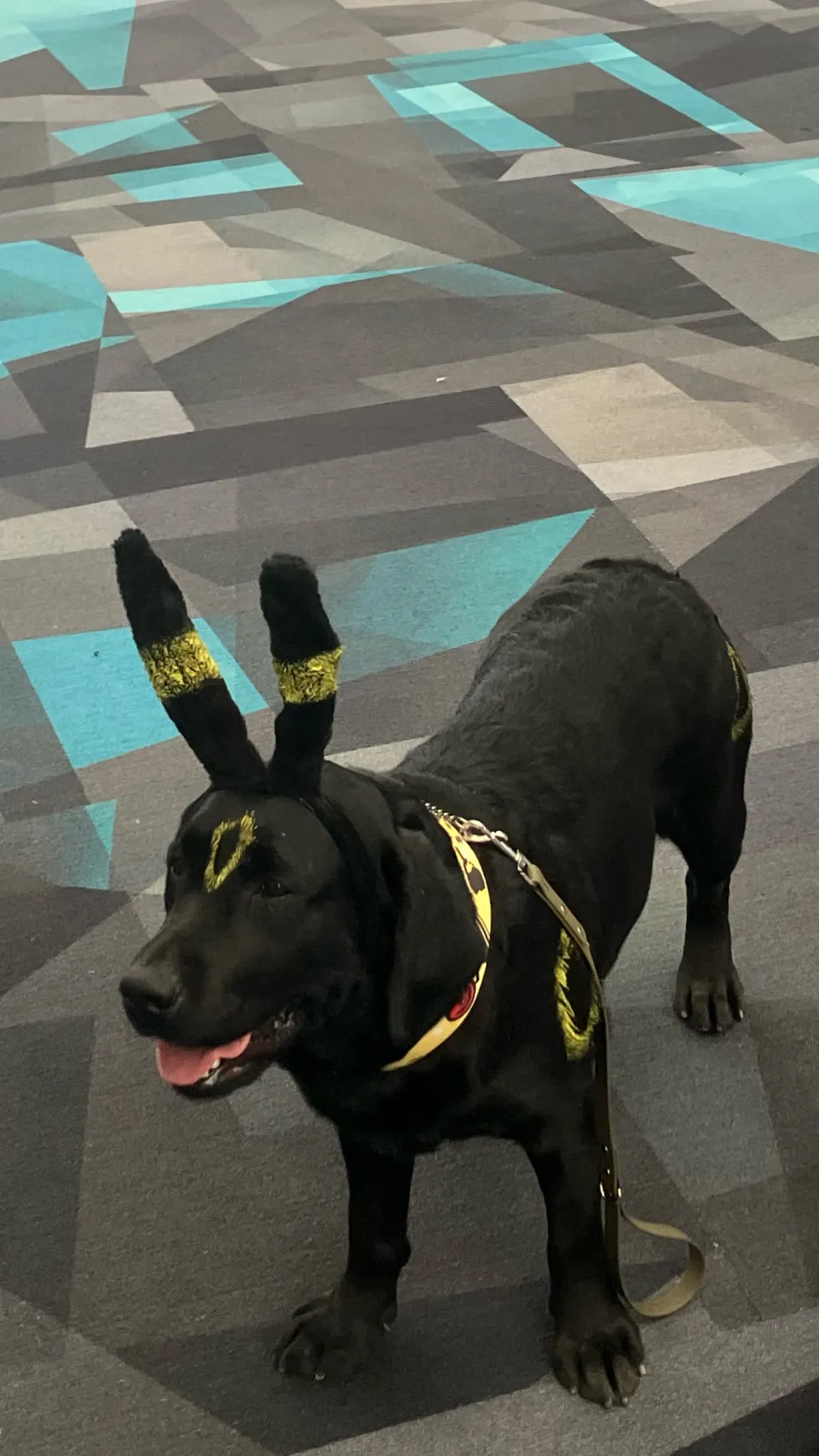 ai character: ~Dog memes~ background