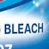 chat with ai character: Bleach.