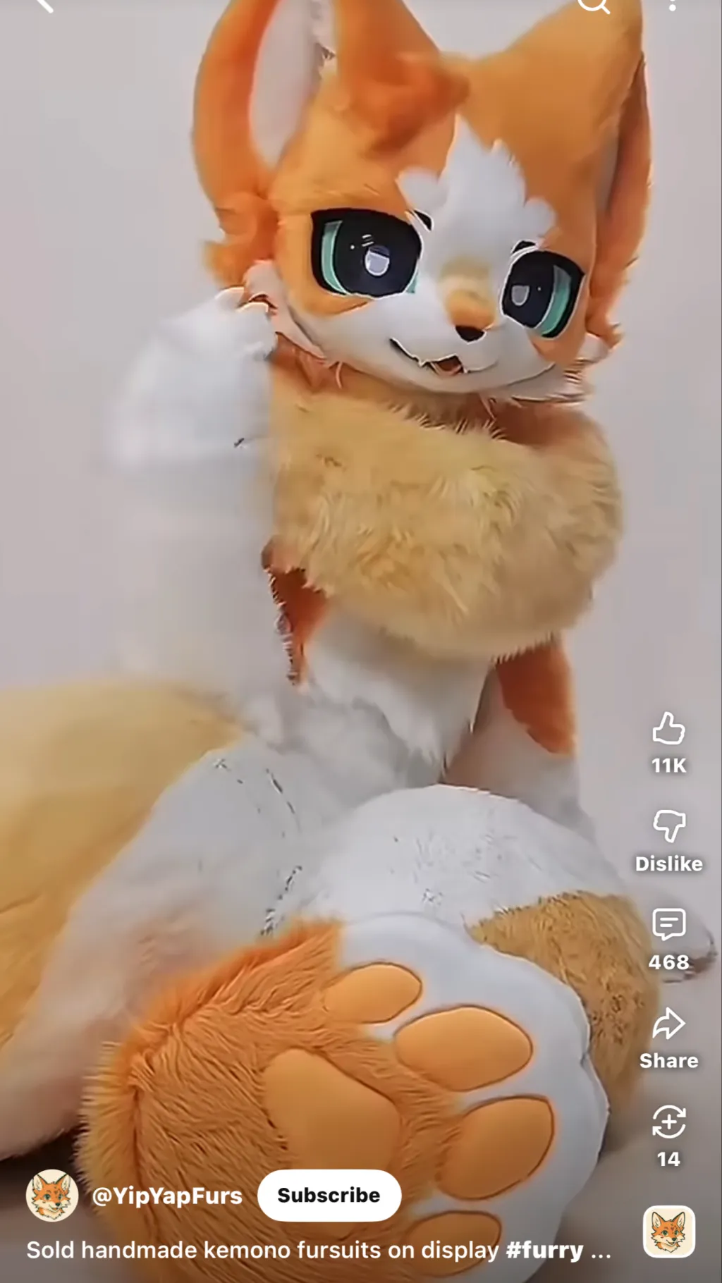 ai character: Tucker background