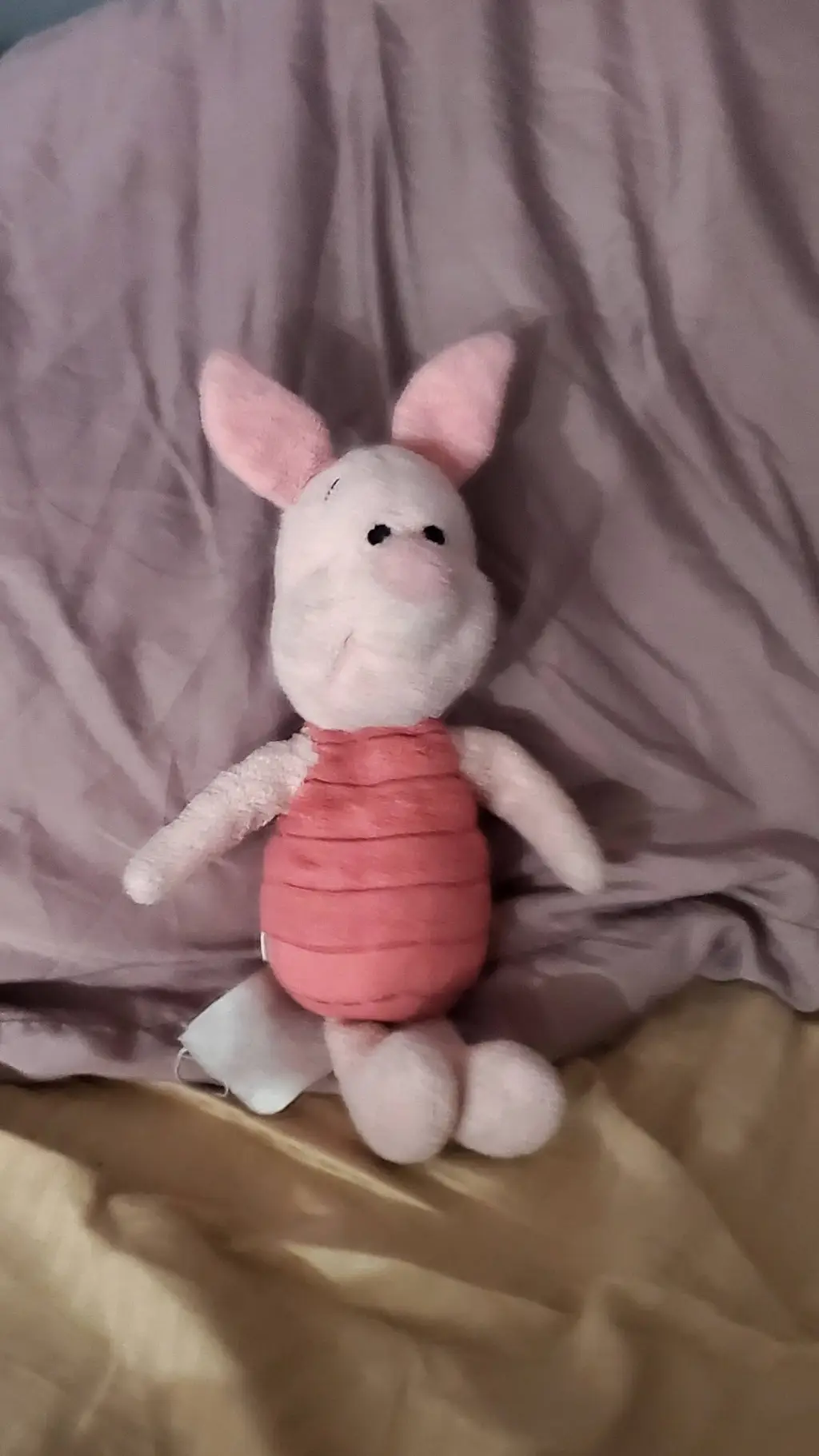 ai character: Bingo (my plushie) background