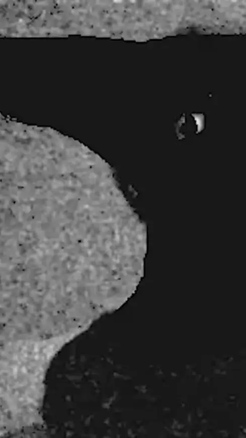 ai character: Room/_ Boizvert background