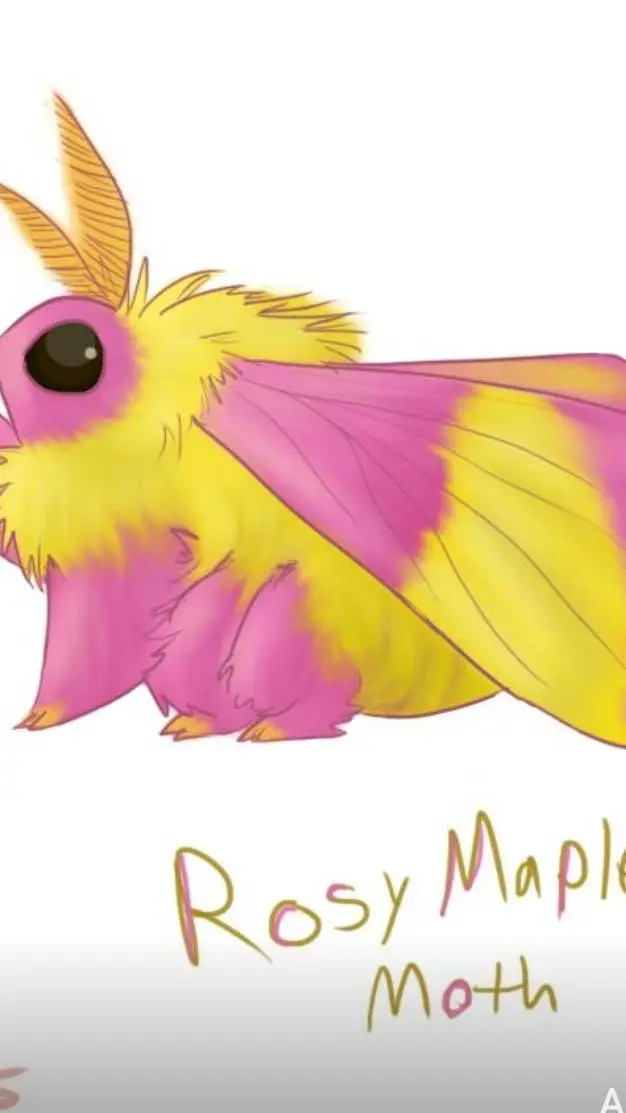 ai character: pink moth background