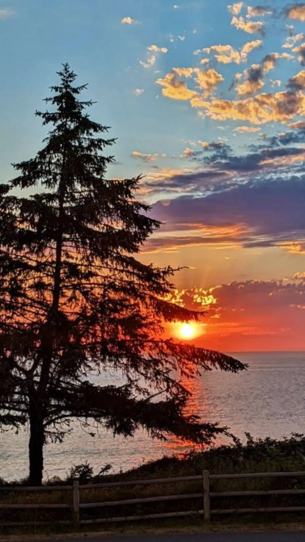 ai character: ANYTHING YOU WANT! background