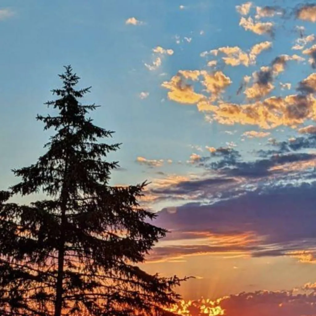 chat with ai character: ANYTHING YOU WANT!