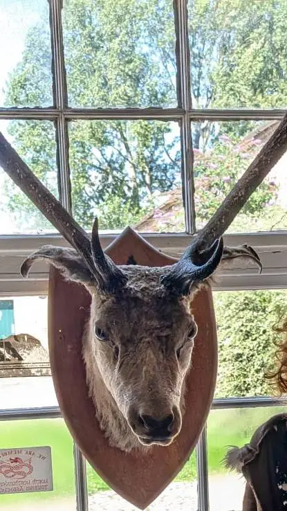 ai character: DABi-GF background