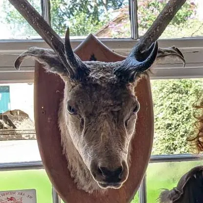 chat with ai character: DABi-GF