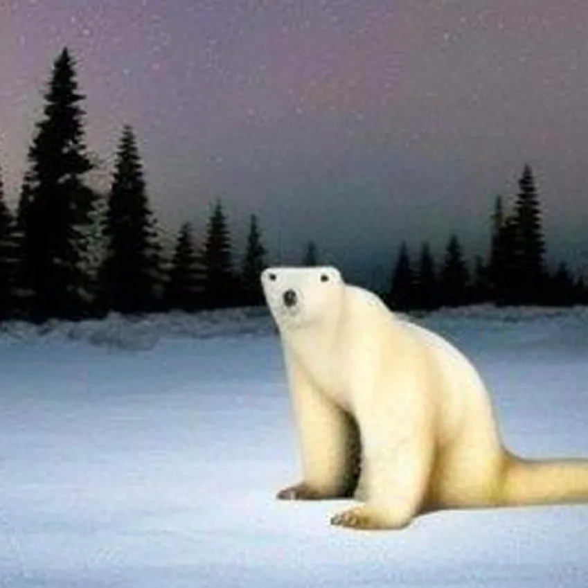 chat with ai character: Polar bears 
