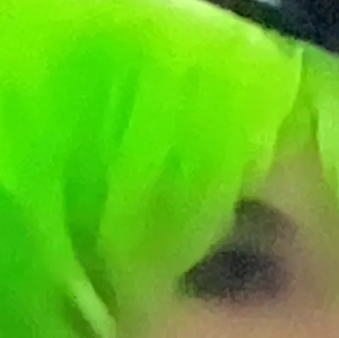 chat with ai character: Flippy