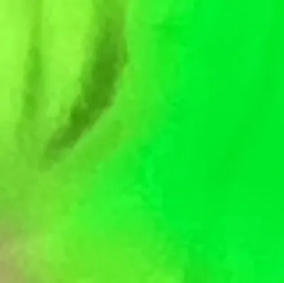 chat with ai character: Flippy