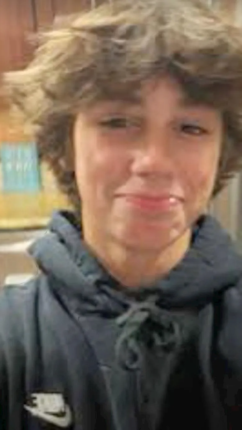 ai character: Fin background