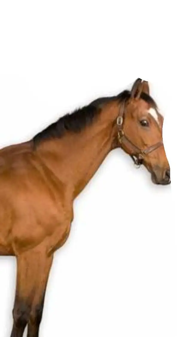 Talkie AI - Chat with squiddo!!!! 