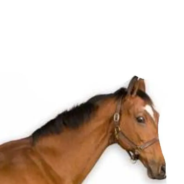 chat with ai character: squiddo!!!! 