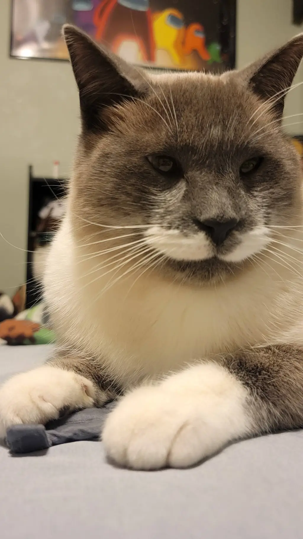 ai character: CatACheno  background