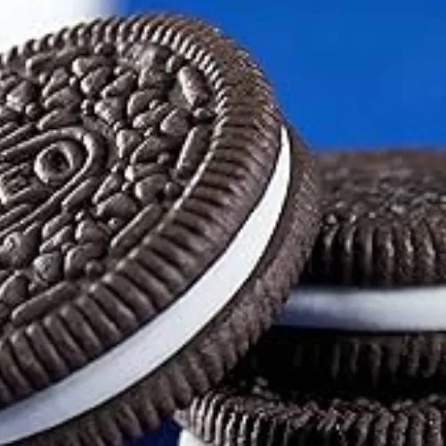 chat with ai character: FPE