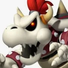 chat with ai character: Dry Bowser