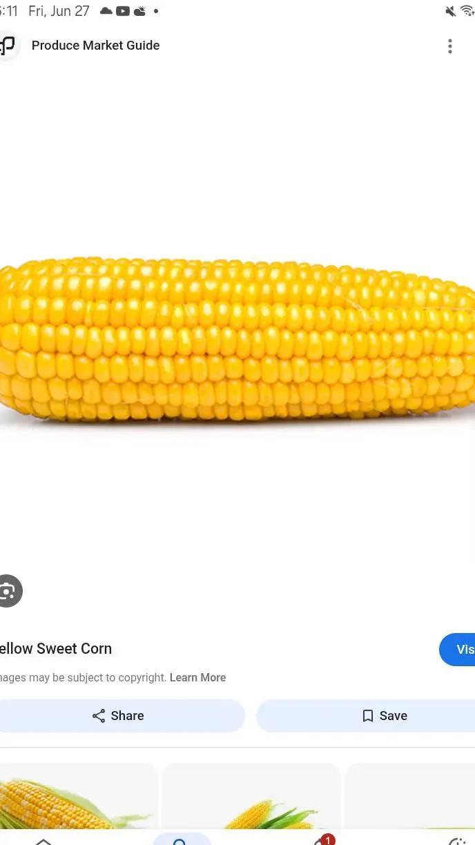 ai character: corn background