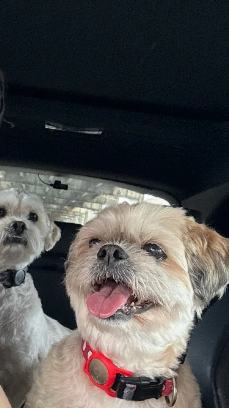 ai character: Go away trend!  background