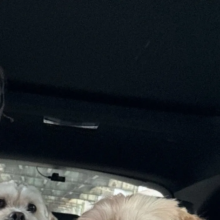 chat with ai character: Go away trend! 