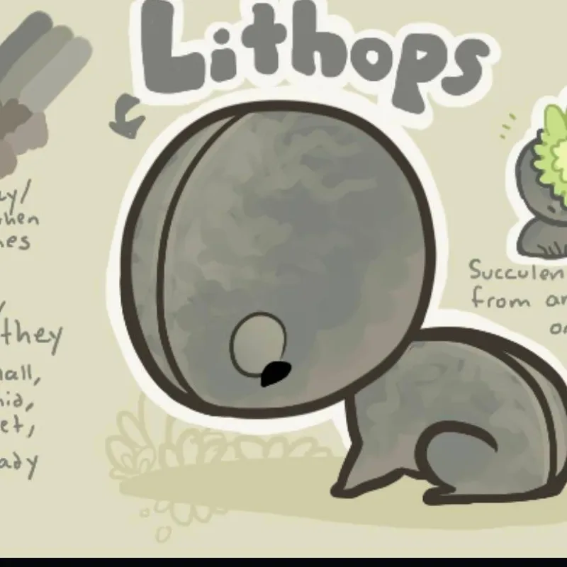 chat with ai character: Lithops