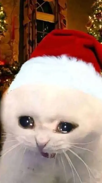 ai character: FsxATA background