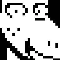 chat with ai character: I will copy you f