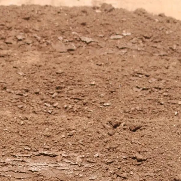 chat with ai character: Dirt