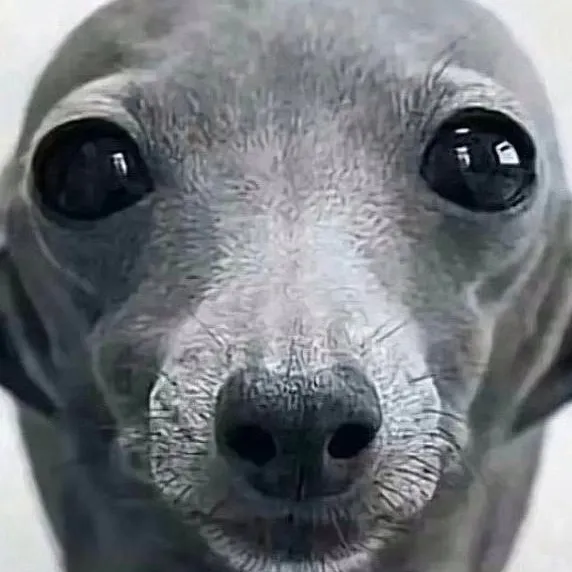 chat with ai character: stupid dog