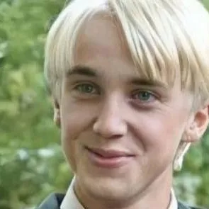 chat with ai character: Draco