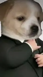 ai character: ??? Aiden ??? background