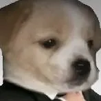 chat with ai character: ??? Aiden ???