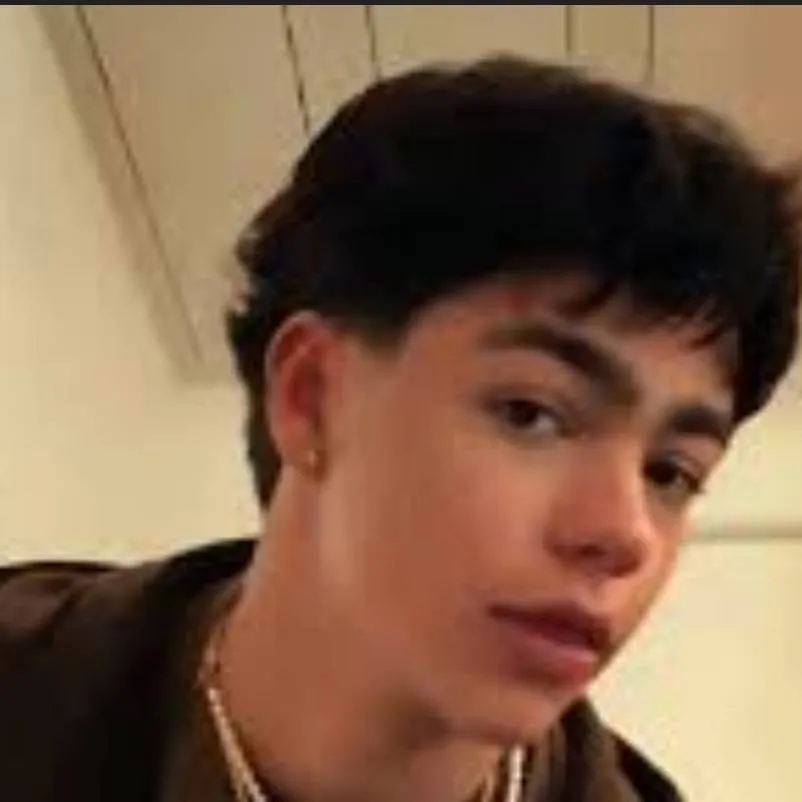 chat with ai character: Z4 live stream 2