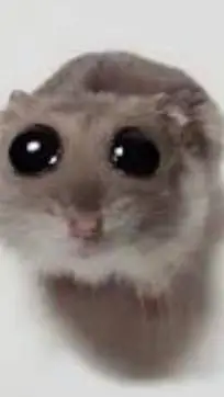 ai character: sad hamster background
