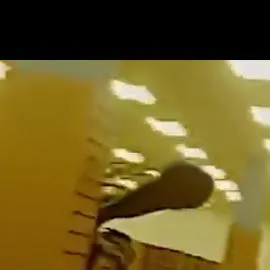 chat with ai character: Blanche