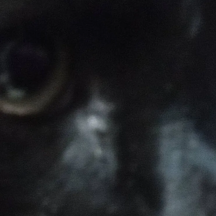 chat with ai character: cat