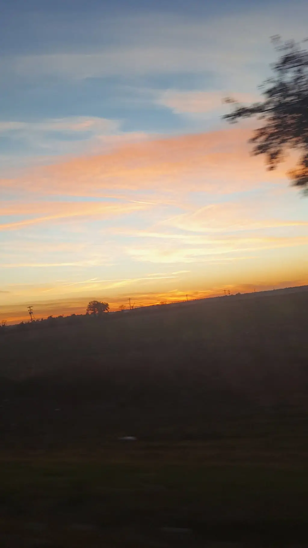 ai character: The Firsts Squad. background