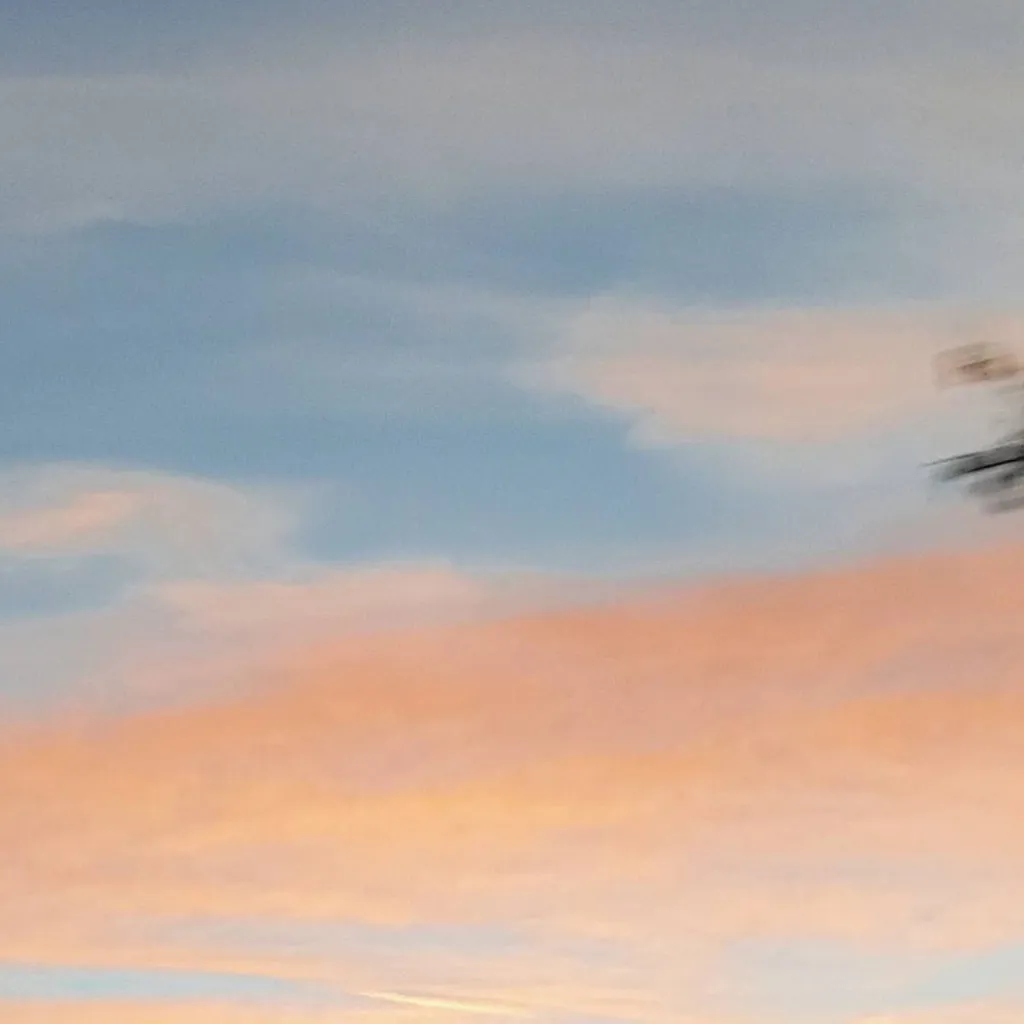 chat with ai character: The Firsts Squad.