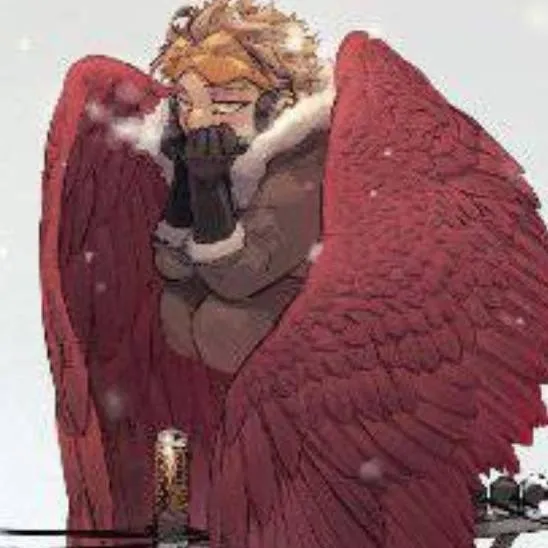 chat with ai character: Hawks