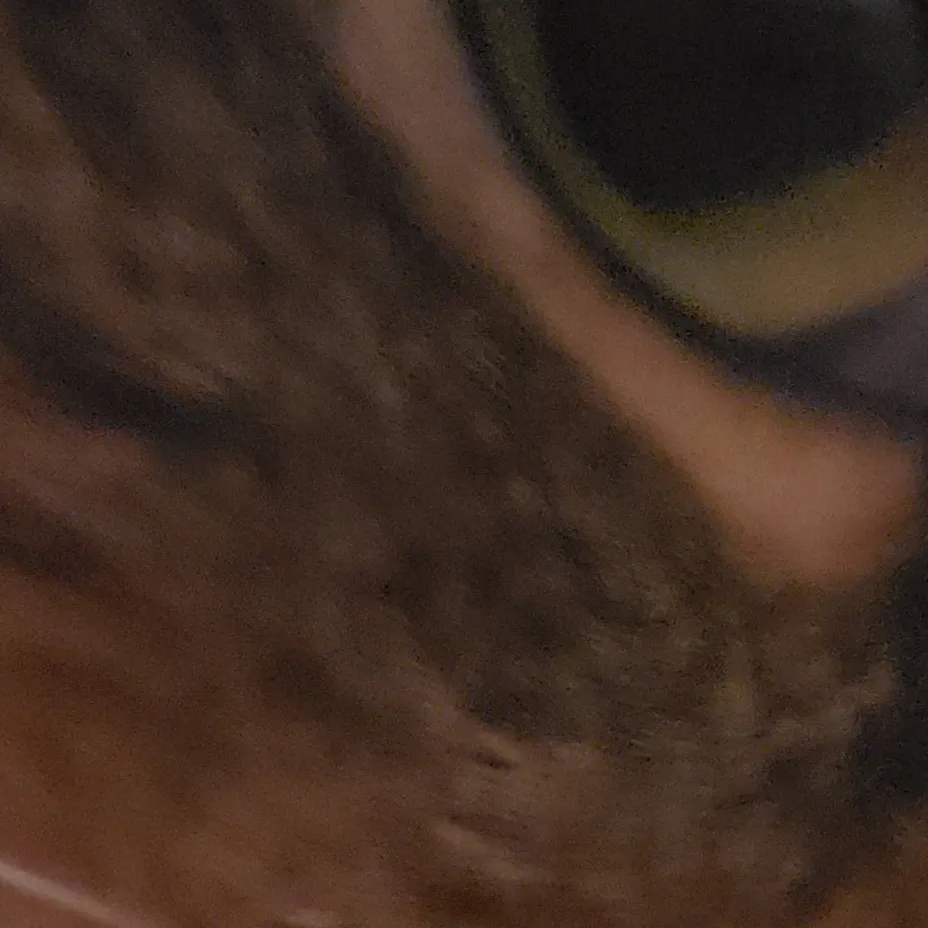 chat with ai character: my cat