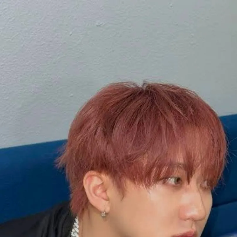 chat with ai character: Skz Argument 