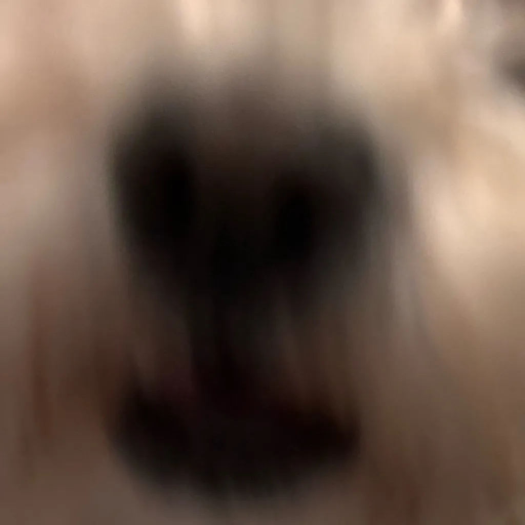 chat with ai character: Puppy